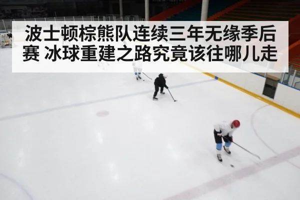 波士顿棕熊队连续三年无缘季后赛 冰球重建之路究竟该往哪儿走
