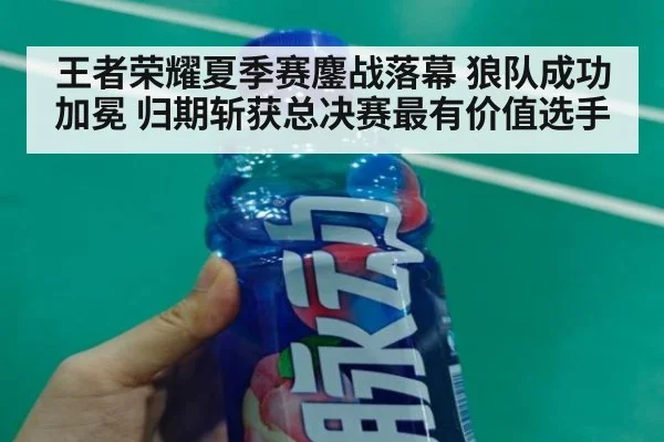 王者荣耀夏季赛鏖战落幕 狼队成功加冕 归期斩获总决赛最有价值选手